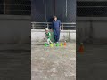 Most technical useful T-Con Cricket Batting Drills For Beginners Batsman #cricket #shorts #ipl #top