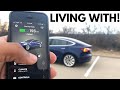 1 week with a Tesla Model 3! | Tesla Model 3 Long Range RWD Review | Forrest's Auto Reviews