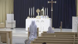 Corpus Christi: The Radical Connection Between the Eucharist and Human Sexuality