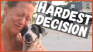 Can We Adopt a Dog in Mexico? An Emotional Dog Adoption and Pet Rescue Story
