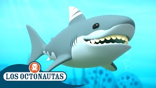 Los Octonautas  El gran tiburón blanco | Temporada 2 | Episodios Completos