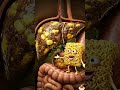 Chai Toast, Momos + Noodles Se Pet Kharab?😱| Soda Water, Adrak Pani aur Garam Pani Ke Fayde| #Shorts