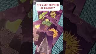 видео: ЧТО С НИМ ТВОРИТСЯ ИЗ-ЗА ВАС? картинка: ЧТО С НИМ ТВОРИТСЯ ИЗ-ЗА ВАС?