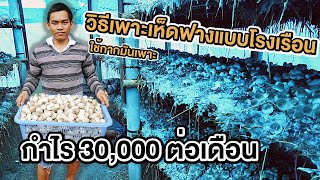 วิธีเพาะเห็ดฟางแบบโรงเรือน ใช้กากมันเพาะ กำไร 30,000 ต่อเดือน