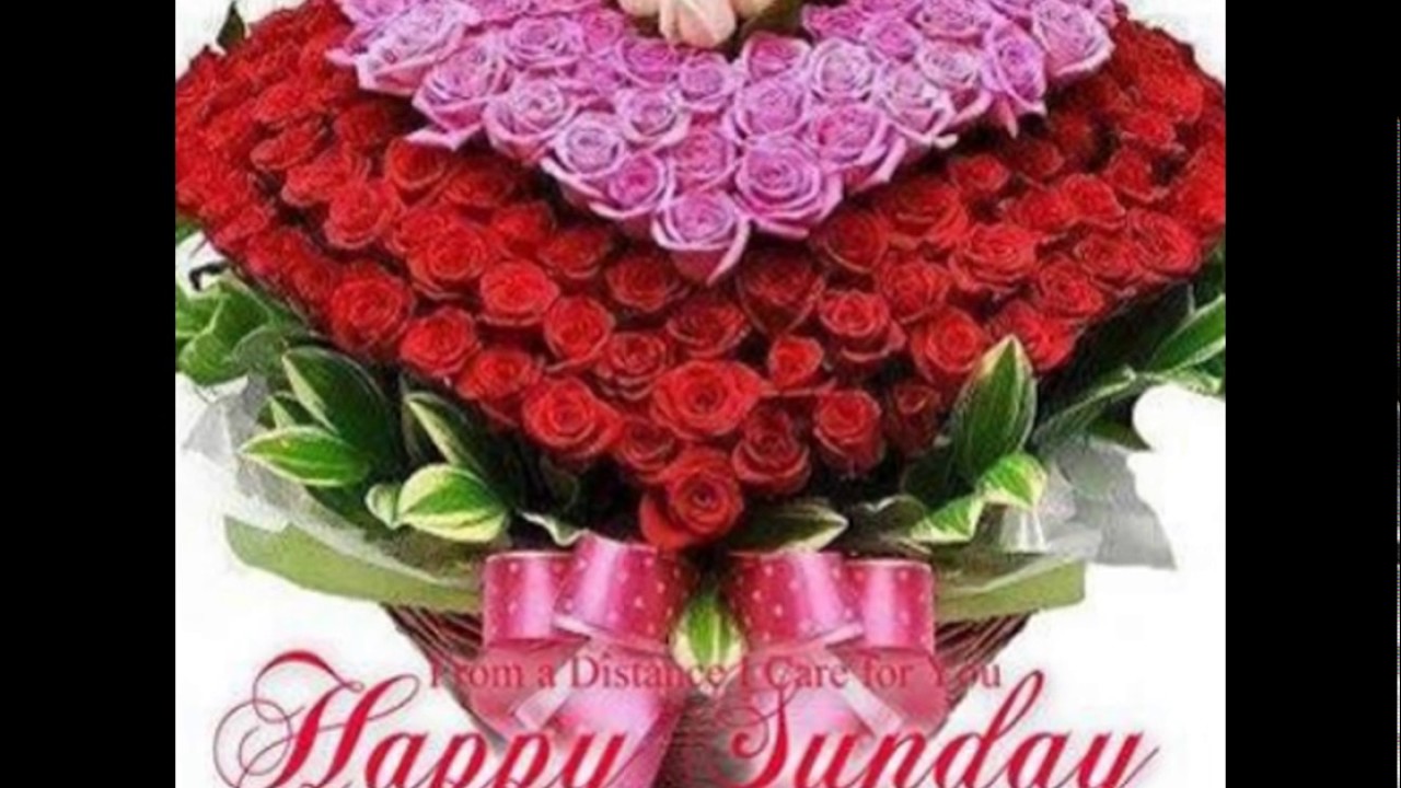 Happy Sunday Wishes Wid Flowers - YouTube