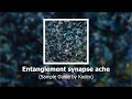 Entanglement synapse ache (Sample Guide) | Everywhere, an empty bliss
