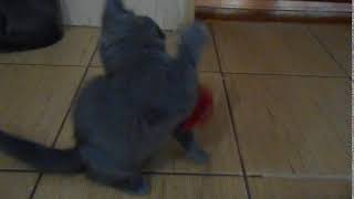 DSCN4783