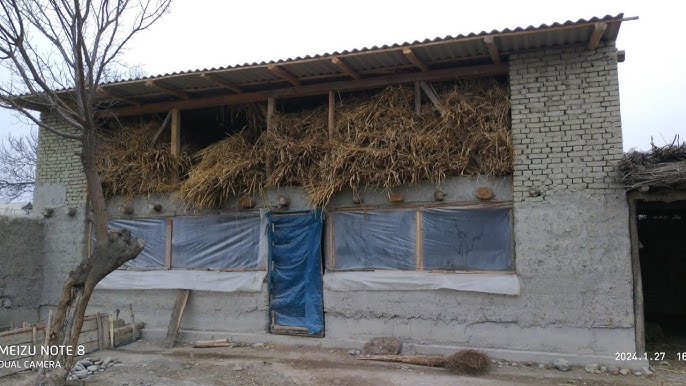 Yosh askarlar bilan anal jinsiy aloqa