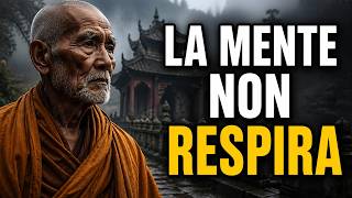 Ti senti perso? Non lo sei: sei sovraccarico mentalmente - Buddhismo