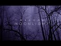 escape - Moonlight (lyric video)