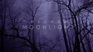 escape - Moonlight (lyric video)