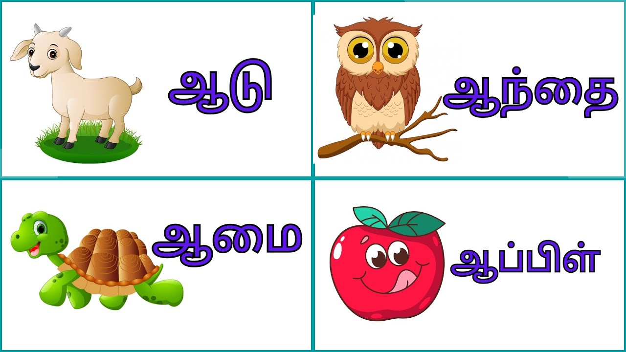 ஆ வரிசை சொற்கள் /உயிர் எழுத்துகள் /அ, ஆ, இ, ஈ, /tamil alphabets # ...