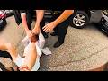 Violent Suspect Attacks Planet Fitness… Then Flees Police