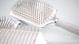 Olivia Garden Ceramic + Ion XL Pro Paddle Brush Collection (CIXL)