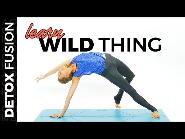 DYF Day 4: Flow into Wild Thing Pose