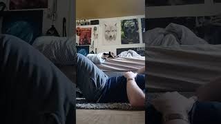 Situps 50 reps