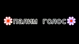 суть тренда сказать свои голосом |fack me✨|