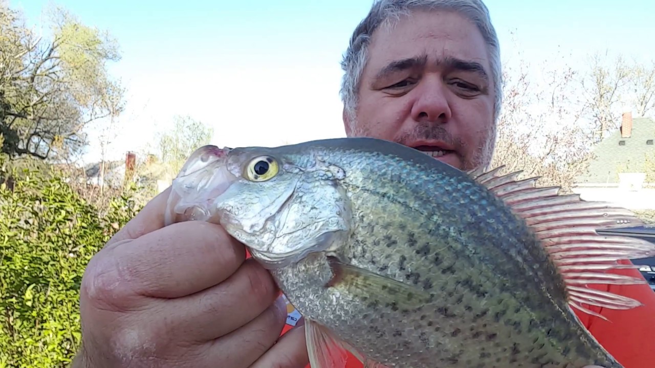 How To Kill A Crappie