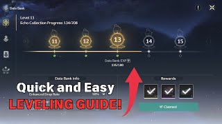 Quick Guide to Data Bank Leveling! | Wuthering Waves