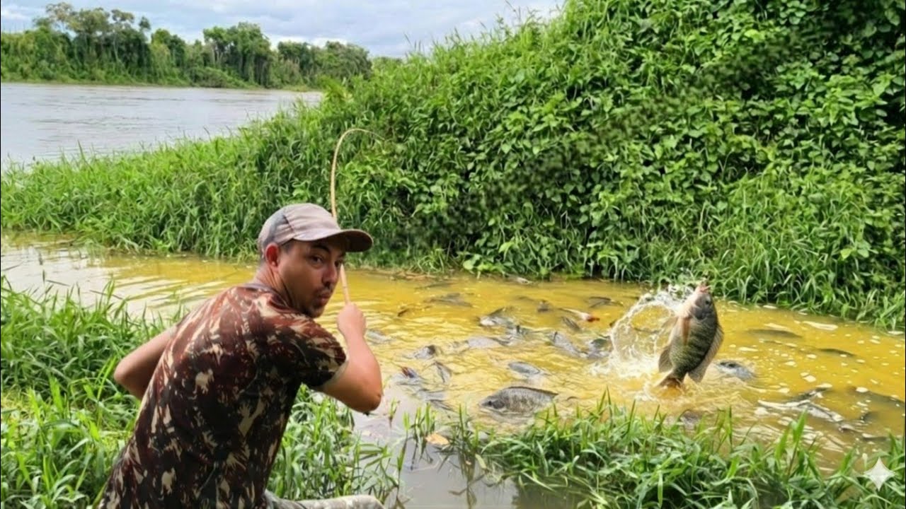 Nunca peguei tanta tilápia assim! 😱