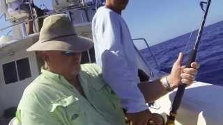 Minerva2 Blue Marlin July 2014