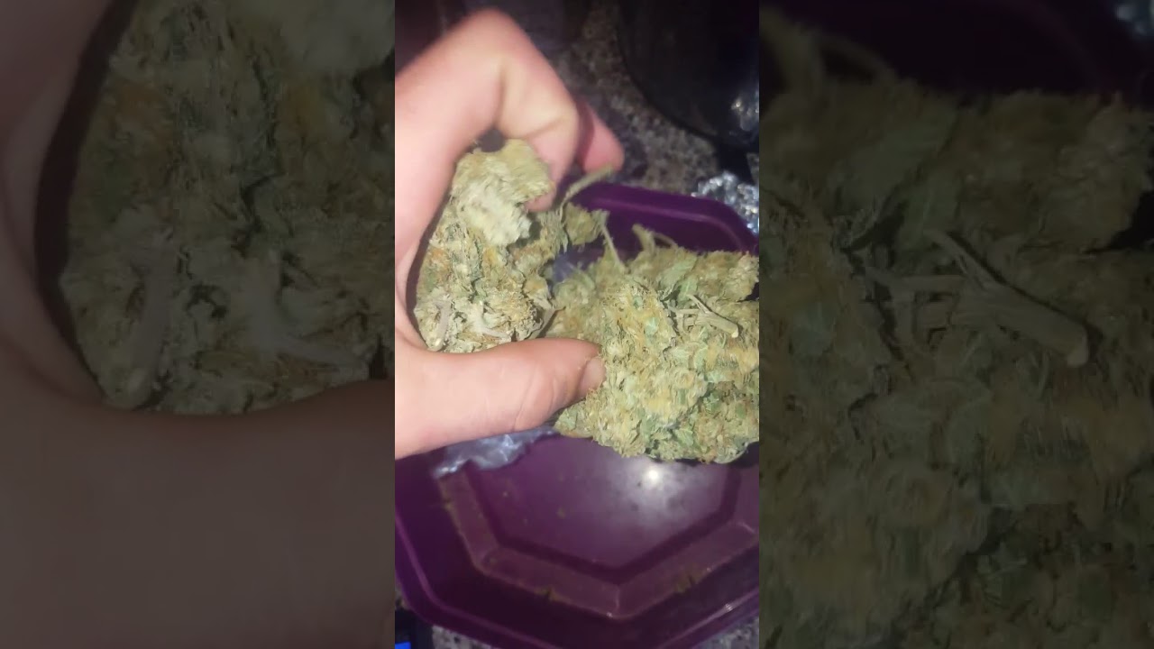 Sticky Pineapple Kush