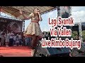 Rimbo Bujang Via Vallen Lagi Syantik mp3