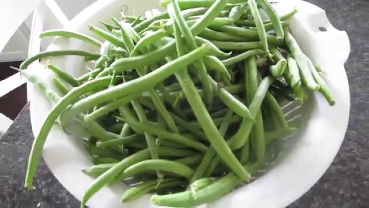 HOW TO FREEZE BEANS AND PEAS YouTube
