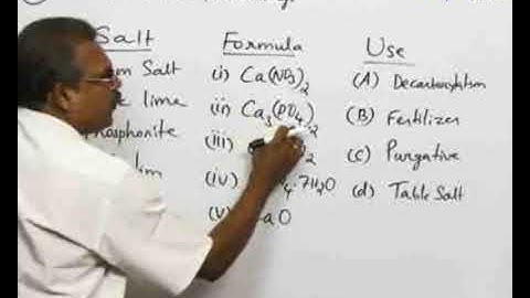 s-Block elements - Concept Builder 3