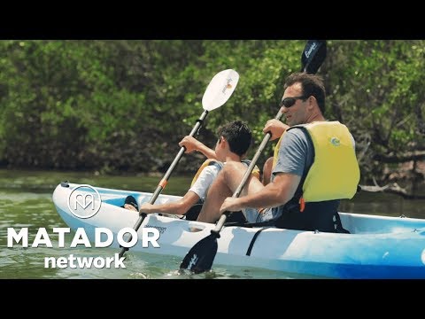 Video: 10 Menyelam Di Miami, Florida - Matador Network