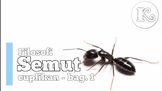 Download Lagu Filosofi semut #KlinemCahaya MP3