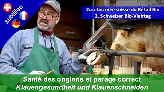 Santé Des Onglons Et Parage Correct