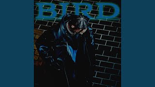 Bird - Pronto