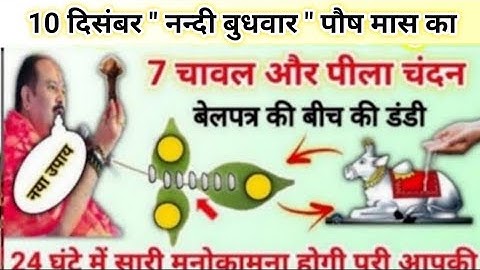 10 दिसंबर नन्दी बुधवार के उपाय | चावल और पिला चंदन का ये उपाय | pradeep mishra ji ke upay #budhwar 