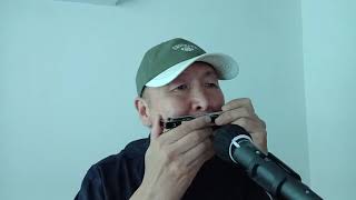 별이여 사랑이여(사랑의하모니)Am C