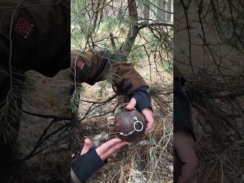 Обнаружил в лесу растяжку…