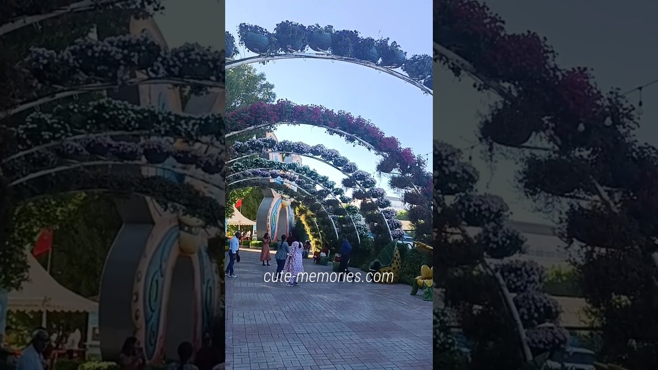 Dubai butterfly 🦋 garden - Dil to pagal hai | #dubaibutterflygarden #dubaitouristspots #dubaitravel