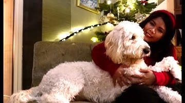 FestiveTechCalendar 2022-12-14 Minimal APIs .NET with Azure API Management Jonah Andersson Intro(HD)