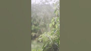 من مقاصد سورة قريش - همسات 288