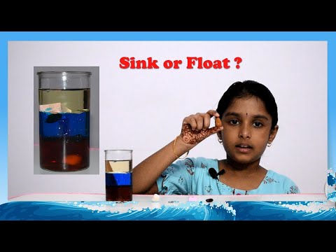 Float or Sink? Kids Activity (Telugu) [వస్తువులు మునిగిపోవడం లేదా తేలియాడే ప్రయోగం]