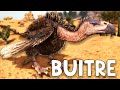 COMO TAMEAR BUITRE y TODAS SUS HABILIDADES (PC, PS y XBOX) - ARK