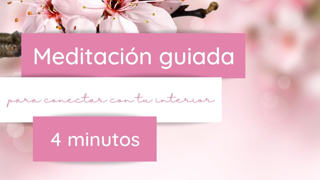 💗Meditación guiada para conectar con tu interior en cualquier momento.💓 ...