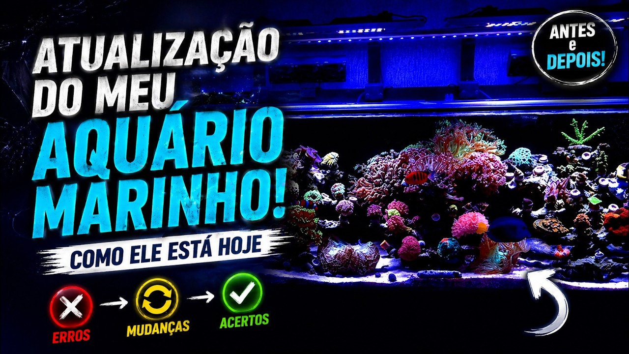 A VERDADE sobre meu aquário marinho hoje…