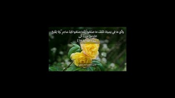 تلاوة خاشعة من سورة طه