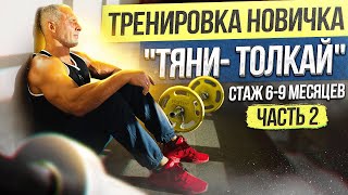 Тренировка новичка "Тяни-Толкай". Стаж 6-9 месяцев. Часть 2.