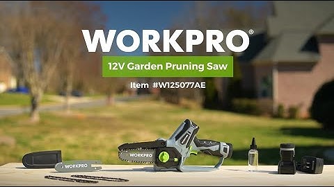 WORKPRO® Tools | 12V Cordless Mini Chainsaw