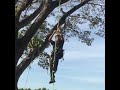 SRT. Petzl Ascent