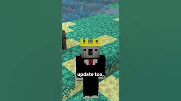 Minecraft Update Numbers Are Getting REMOVED...