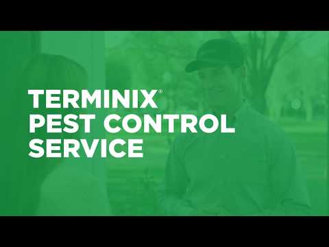Terminix Pest Control: How Does It Work?