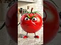 main tamatr raja 🍅🤣 | King tmato | #trending #tmatar #funny #viral #shorts